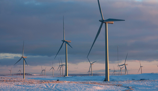 Iberdrola planea repotenciar Whitelee para duplicar capacidad eólica con una inversión de 1.800 millones de euros