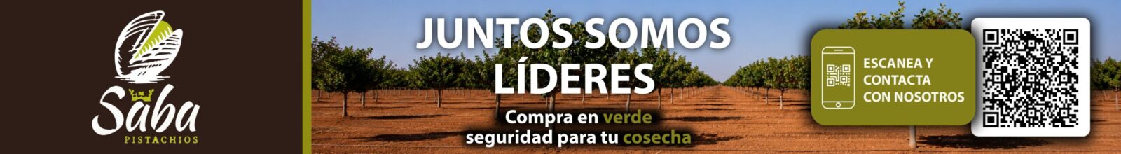 SABA Pistachios duplica su capacidad de procesado para la compra de pistacho en verde en España